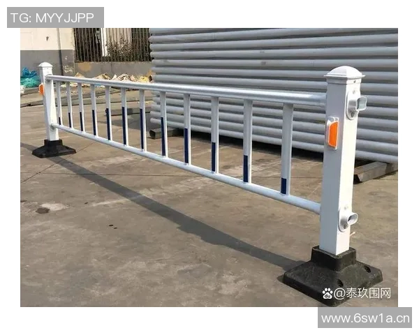 交通护栏在城市交通安全中的作用与设计优化研究